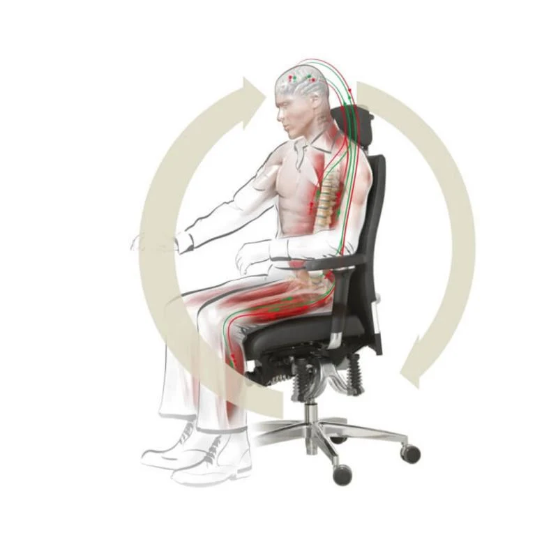 Bioswing 560 IQ-Bestseller / / Hausstuhl
