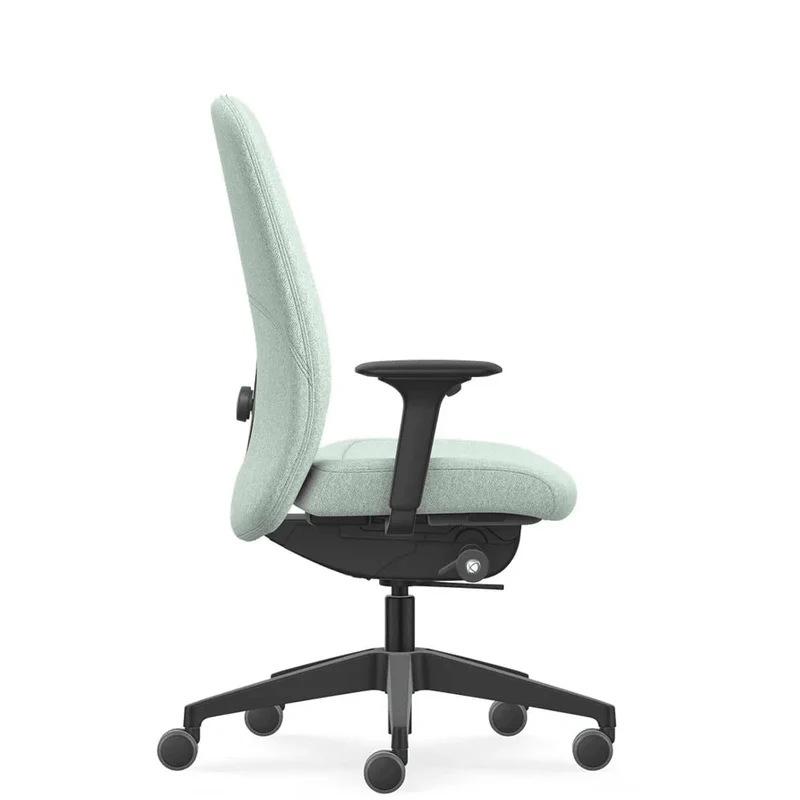 Interstuhl HEJ Polsterrücken mit Flextech (HJ 166) - Schwarz | Mint