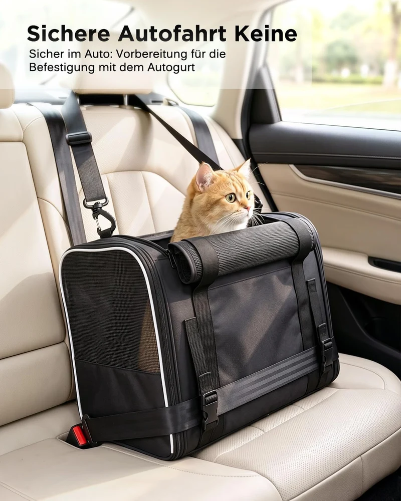 Katzentransporttasche faltbar bis 10 kg – Stabile Transportbox für Katzen & kleine Hunde mit Stahlra