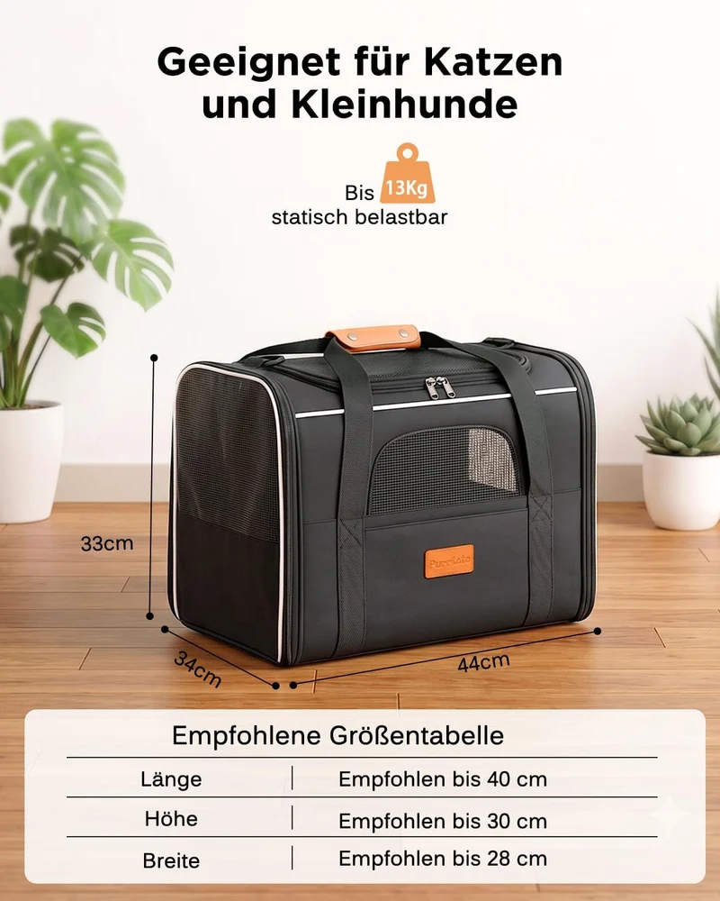 Katzentransporttasche faltbar bis 10 kg – Stabile Transportbox für Katzen & kleine Hunde mit Stahlra
