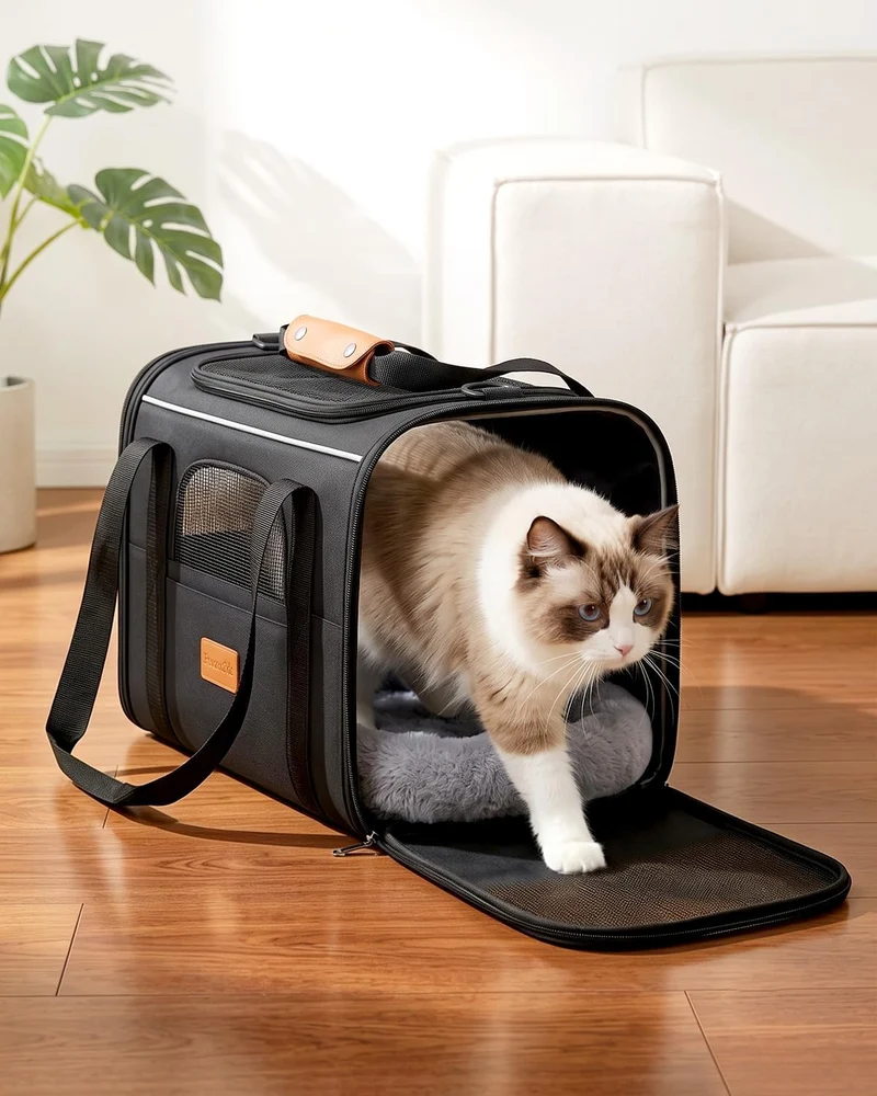 Katzentransporttasche faltbar bis 10 kg – Stabile Transportbox für Katzen & kleine Hunde mit Stahlra
