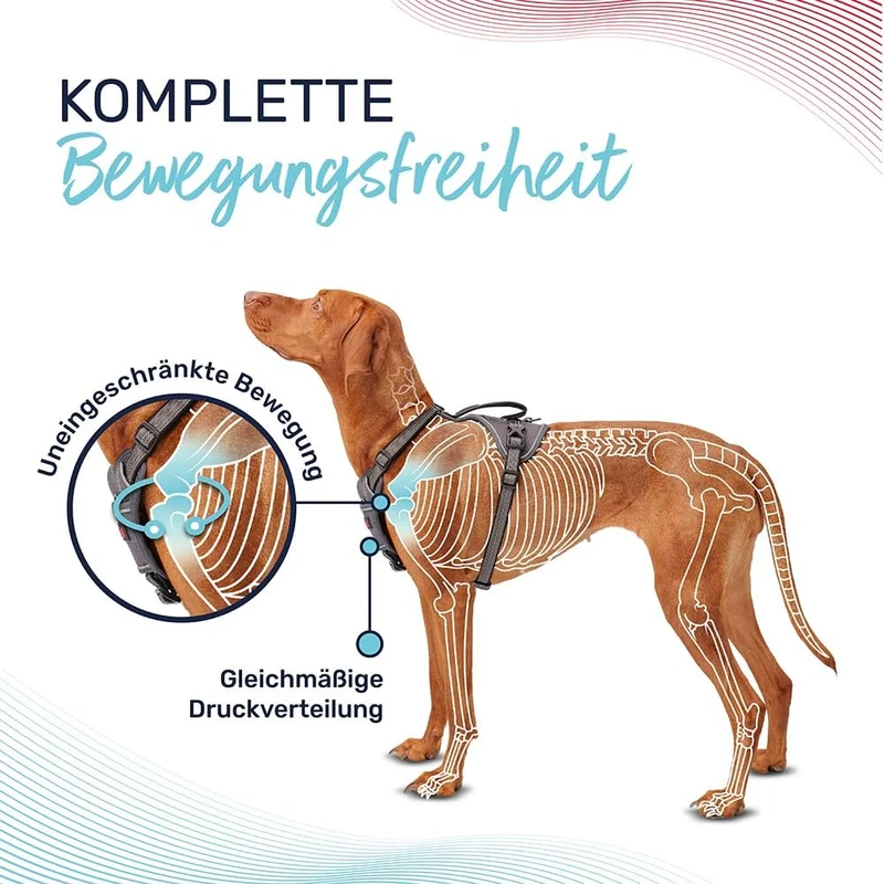 HALTI Anatomy Hundegeschirr mit Griff – Bewegungsfreiheit für deinen Hund. 3 Verbindungspunkte für d
