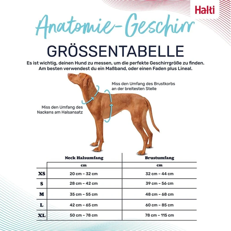 HALTI Anatomy Hundegeschirr mit Griff – Bewegungsfreiheit für deinen Hund. 3 Verbindungspunkte für d