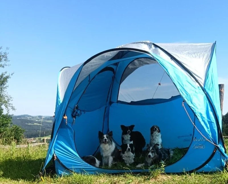 Eventzelt/Wurfzelt Callieway® „Kwiki“ Pop-up Zelt 225x225cm (4 Personenzelt) Ocean blue/silver Refle