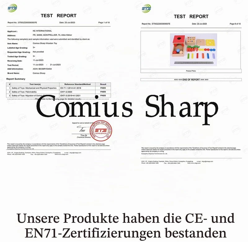 Comius Sharp Holzspielzeug, 4 in 1 Montessori Spielzeug, Motor Skills Spielzeug für Jungen und Mädch