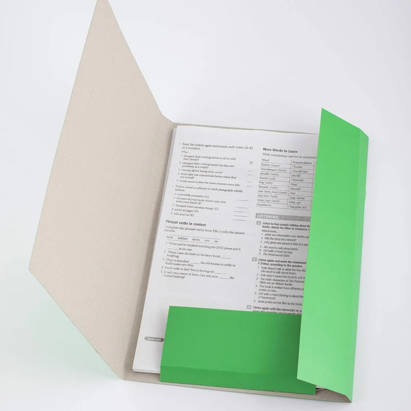 D.RECT 25 Stück Sammelmappe aus Karton | Postmappe mit Gummiband | 300g Grün Grün 25 Stück, Grün 25