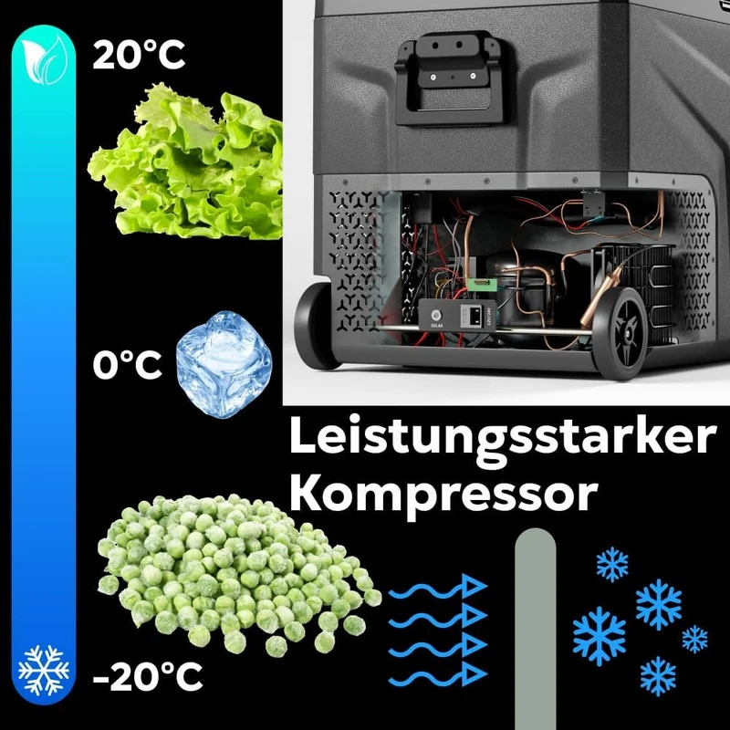Yolco TCX60 Kompressor Kühlbox 50-60L - Dual Zone 12/24V & 100-240V Space Grey 50L, Space Grey 50L