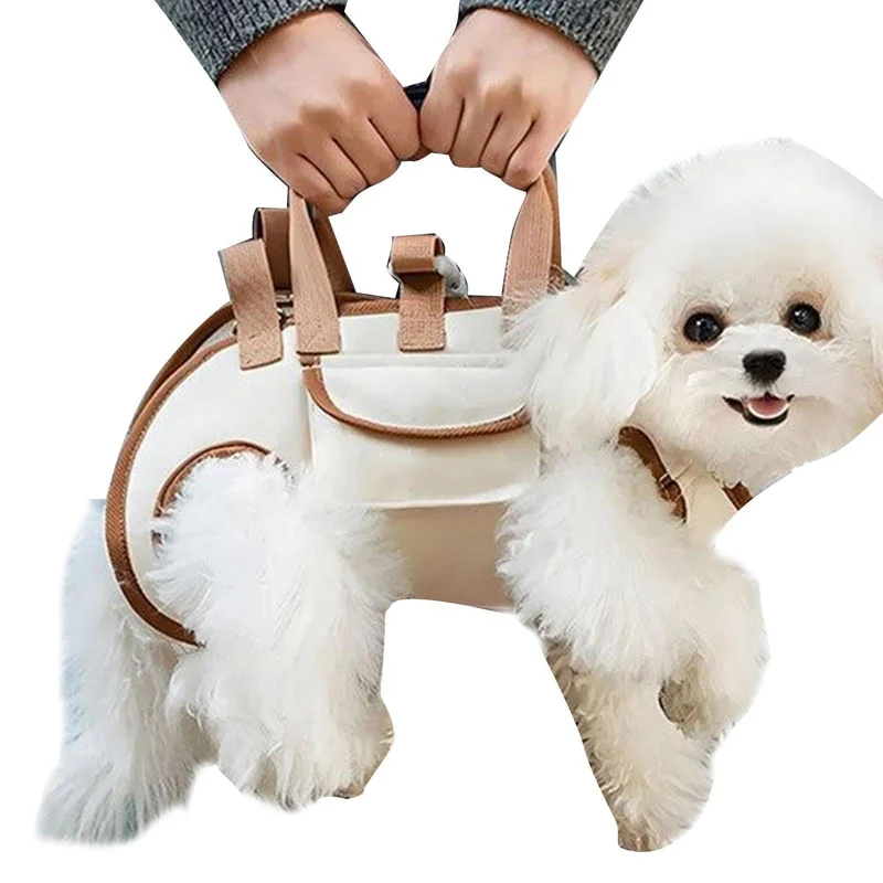 Hundetasche Mit Hunde Weste, Haustierweste Mit Riemen Für Kleiners Hunde Und Katzen, Tragbare Umhäng