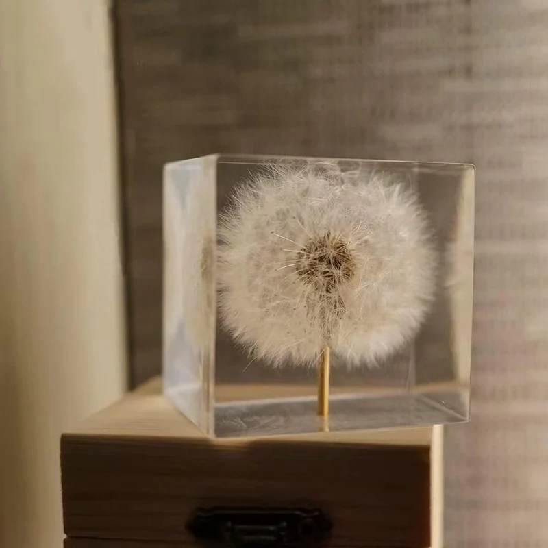 DESHINTKE Briefbeschwerer mit Pusteblume in Würfelform, mit Holzbox, 5,1 cm, transparent, echte Löwe
