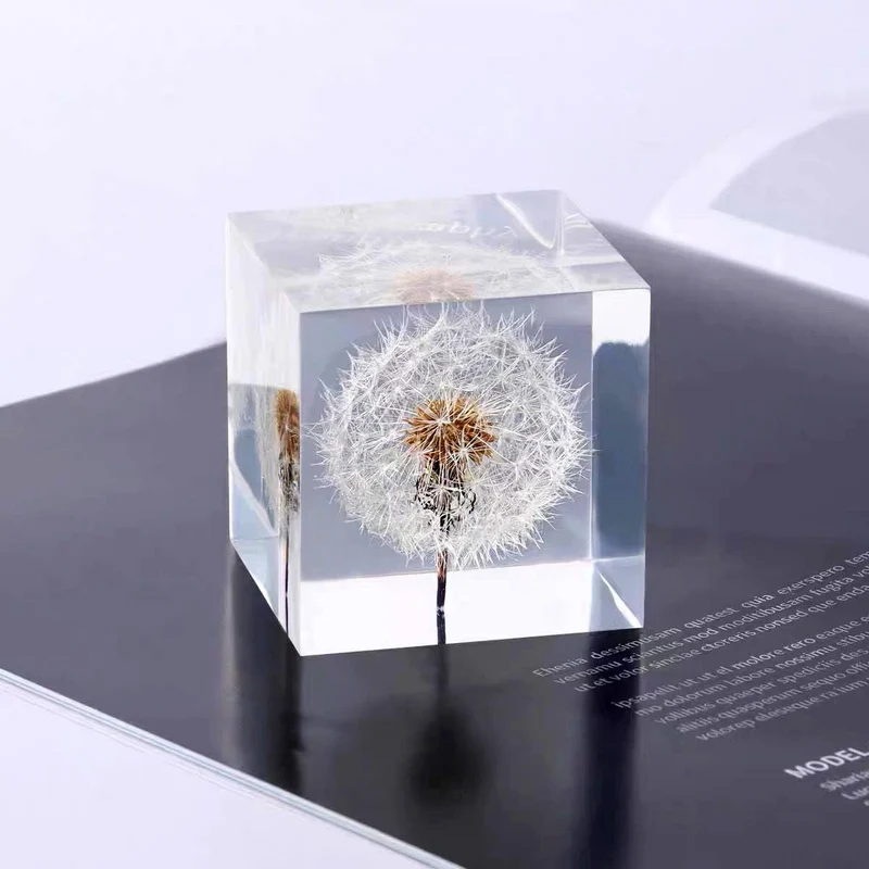 DESHINTKE Briefbeschwerer mit Pusteblume in Würfelform, mit Holzbox, 5,1 cm, transparent, echte Löwe