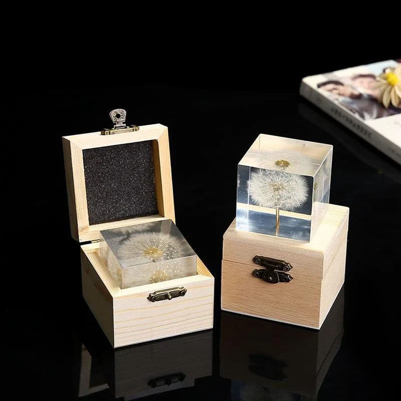 DESHINTKE Briefbeschwerer mit Pusteblume in Würfelform, mit Holzbox, 5,1 cm, transparent, echte Löwe