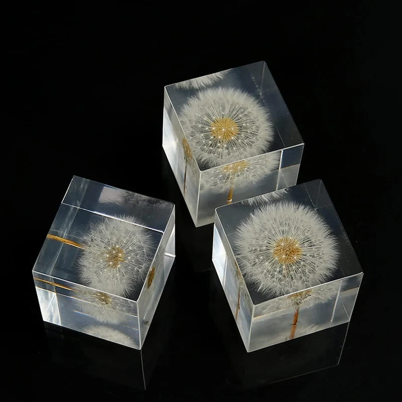 DESHINTKE Briefbeschwerer mit Pusteblume in Würfelform, mit Holzbox, 5,1 cm, transparent, echte Löwe