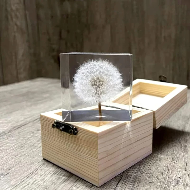 DESHINTKE Briefbeschwerer mit Pusteblume in Würfelform, mit Holzbox, 5,1 cm, transparent, echte Löwe