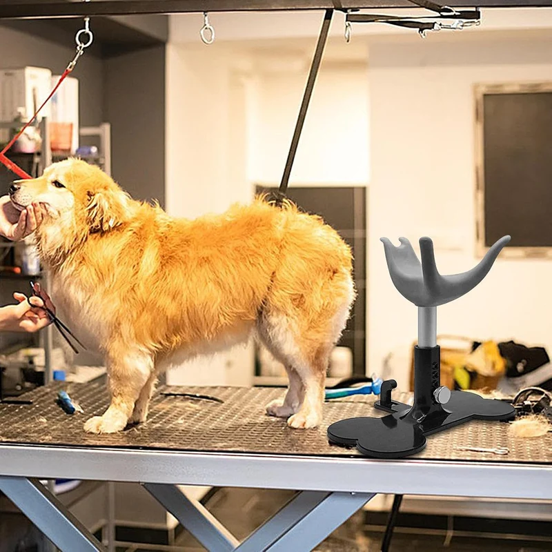 Generisch Pflegestuhl Für Kleine Hunde | Stehhilfe Zum Baden - Höhenverstellbarer Rutschfester Assis