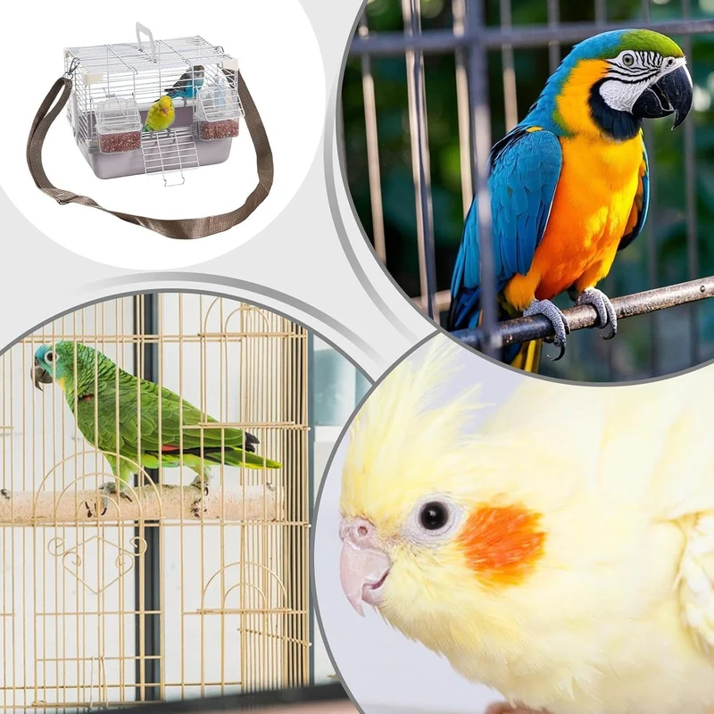 Vogel Reisekäfig | Leichte Kleintiertransportbox Mit Abnehmbarem Tablett - Robustes Zubehör Für Klei
