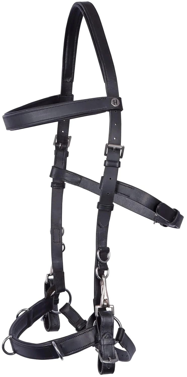 Harry's Horse Kaptoom hoofdstel Leder, Grösse:Full, Full