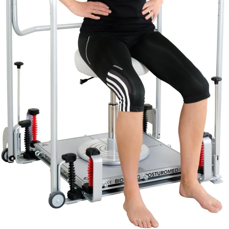 Bioswing Posturomed Compact