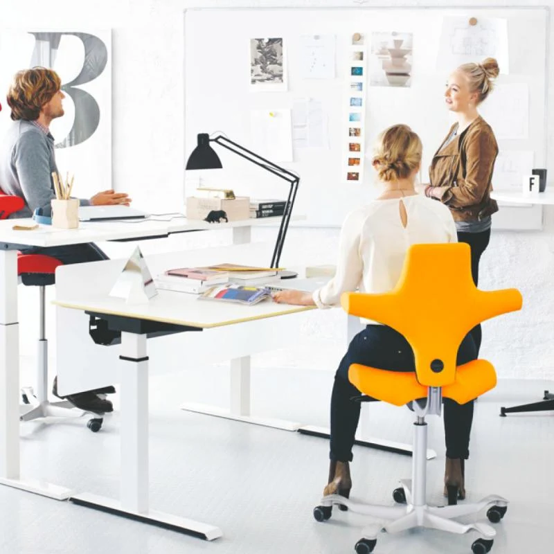 Sattelstuhl HAG Capisco 8106 (Bestseller)