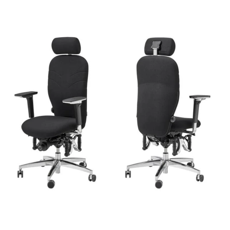 Bioswing 460 IQ Bestseller / / Hausstuhl