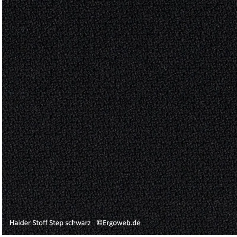 Bioswing 460 IQ Bestseller / / Hausstuhl