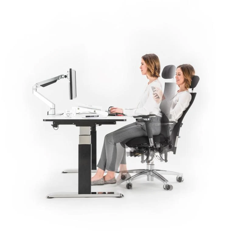 Bioswing 660 IQ Bestseller Stoff //Hausstuhl