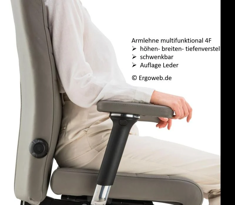 Bioswing 660 IQ Bestseller Stoff //Hausstuhl