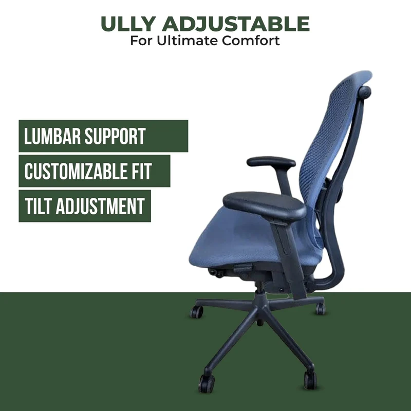Herman Miller Celle Chair Fully Loaded (Renewed)