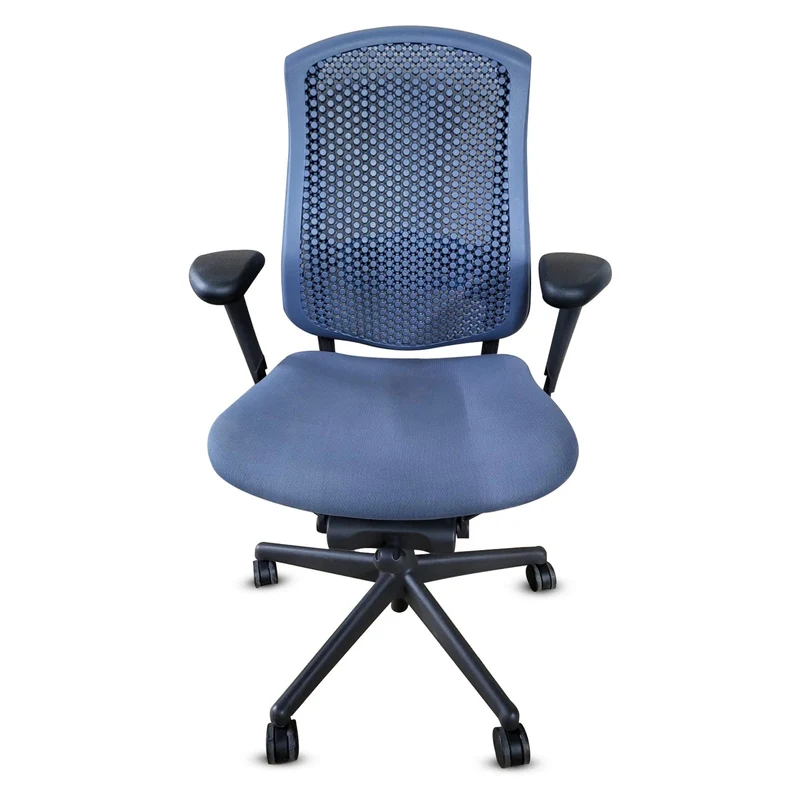 Herman Miller Celle Chair Fully Loaded (Renewed)