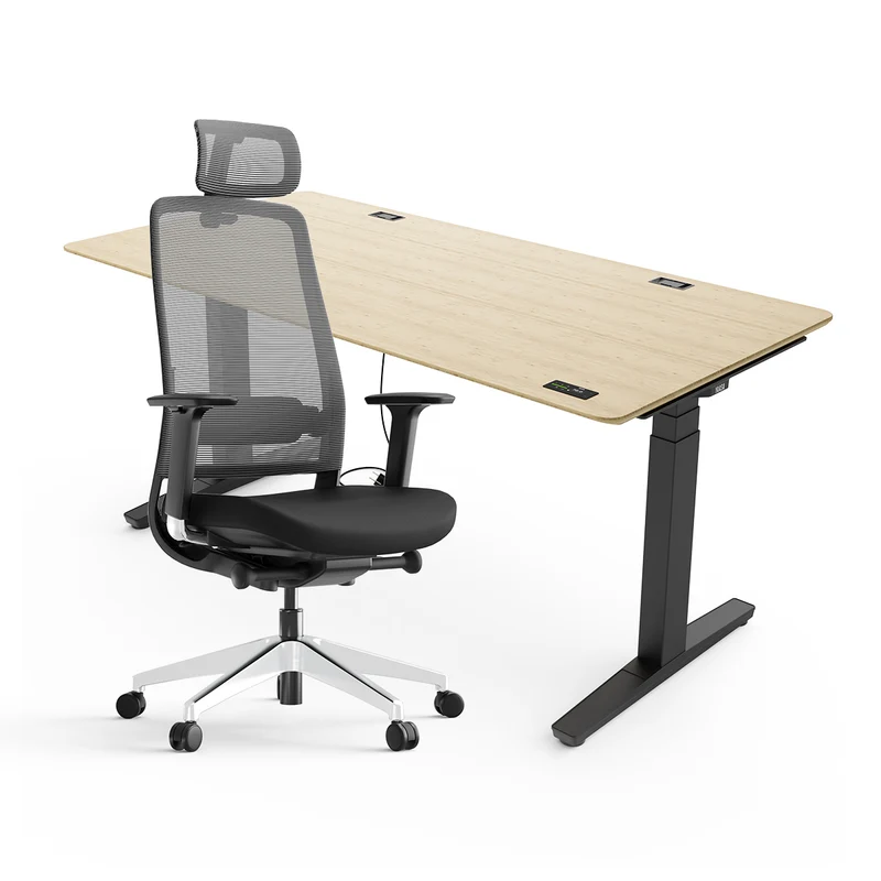 Expert Set: Desk & Chair Expert