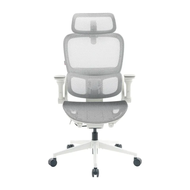 Sihoo B300 Pro Ergonomic Office Chair