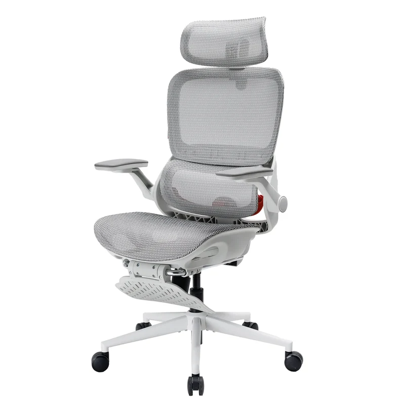 Sihoo B100 Pro Ergonomic Office Chair