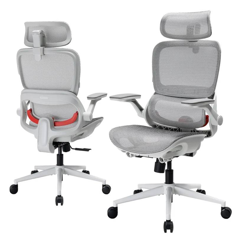 Sihoo B100 Pro Ergonomic Office Chair