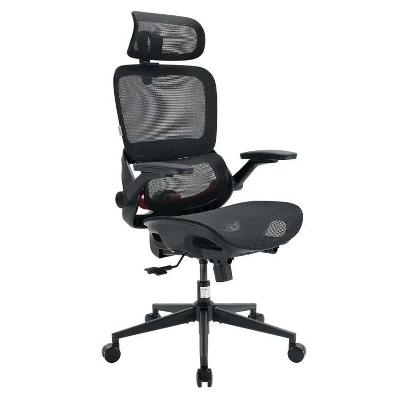 Sihoo B100 Pro Ergonomic Office Chair