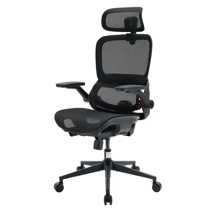 Sihoo B100 Pro Ergonomic Office Chair