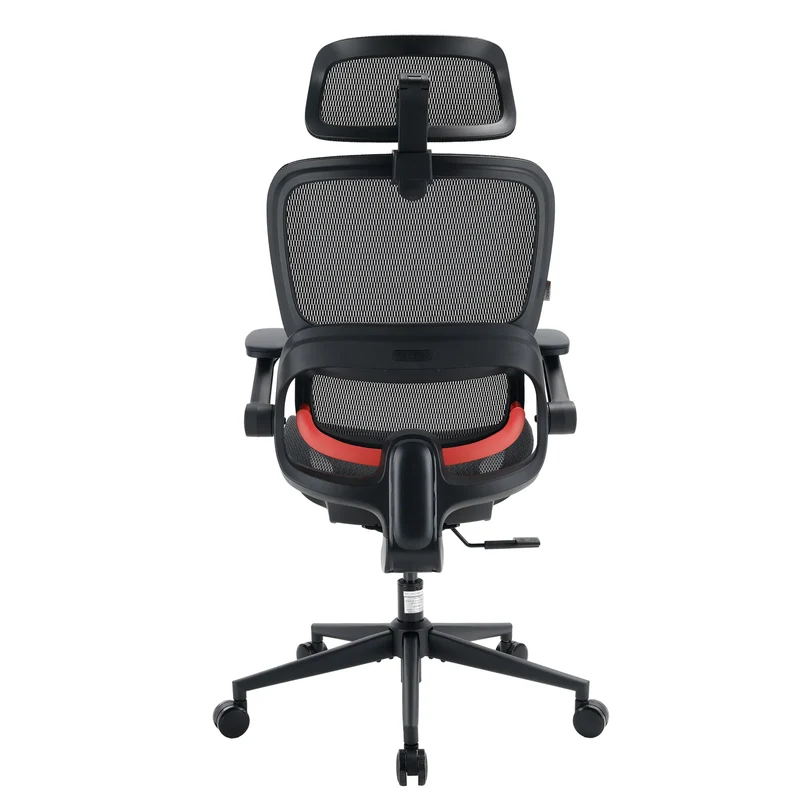 Sihoo B100 Pro Ergonomic Office Chair
