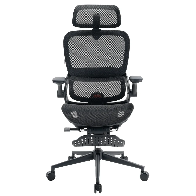 Sihoo B100 Pro Ergonomic Office Chair