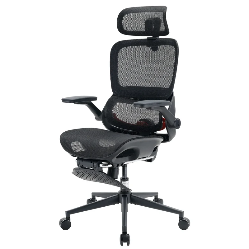 Sihoo B100 Pro Ergonomic Office Chair