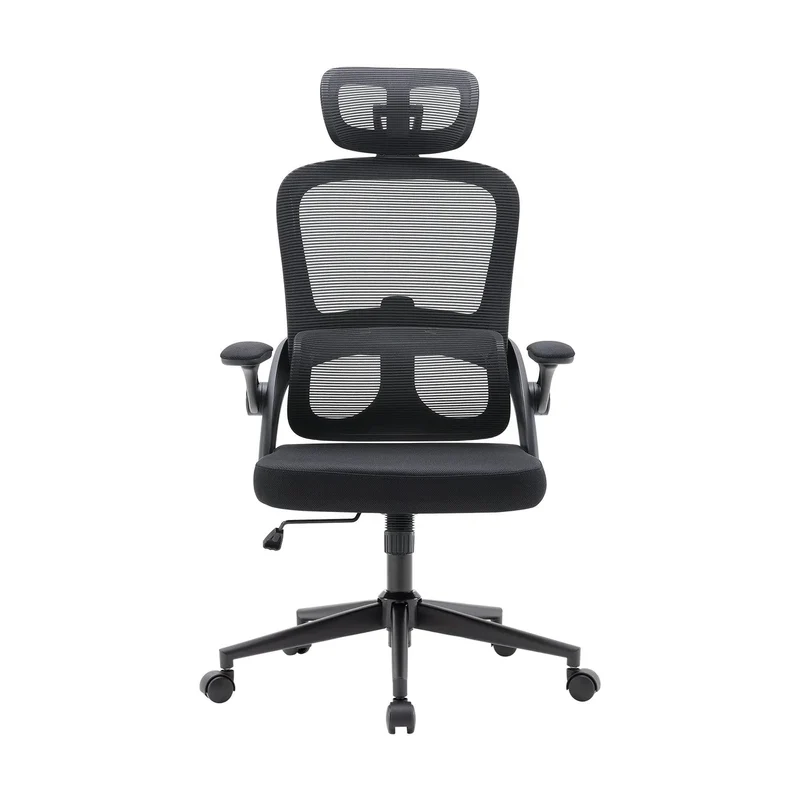 Sihoo M102C Ergonomic Office Chair with Next-Level Lumbar Support