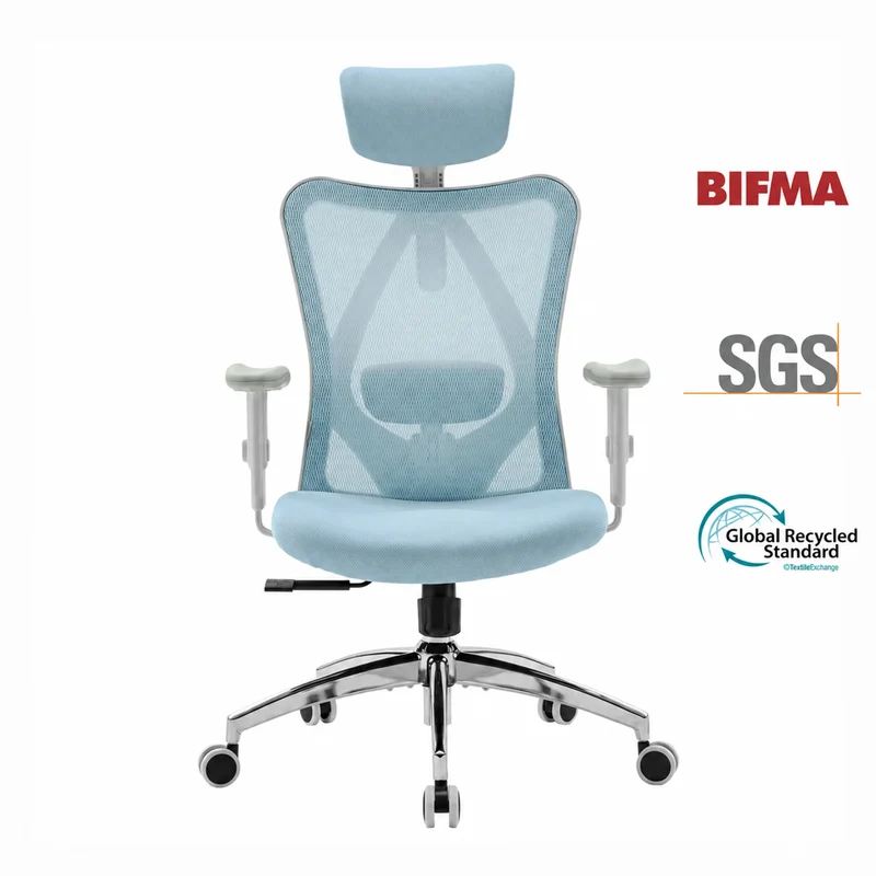 Sihoo M18 Classic Office Chair With Triple Spinal Relief