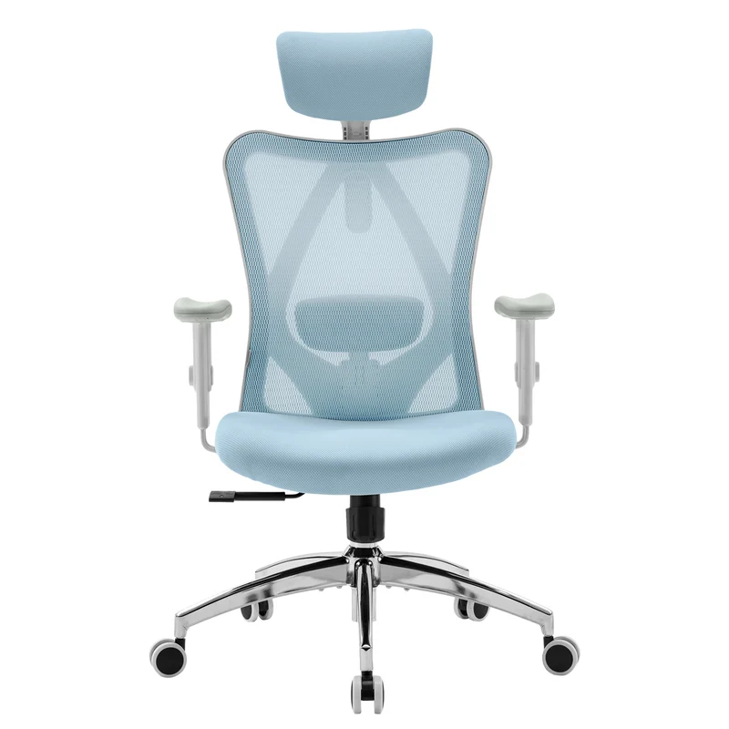 Sihoo M18 Classic Office Chair With Triple Spinal Relief