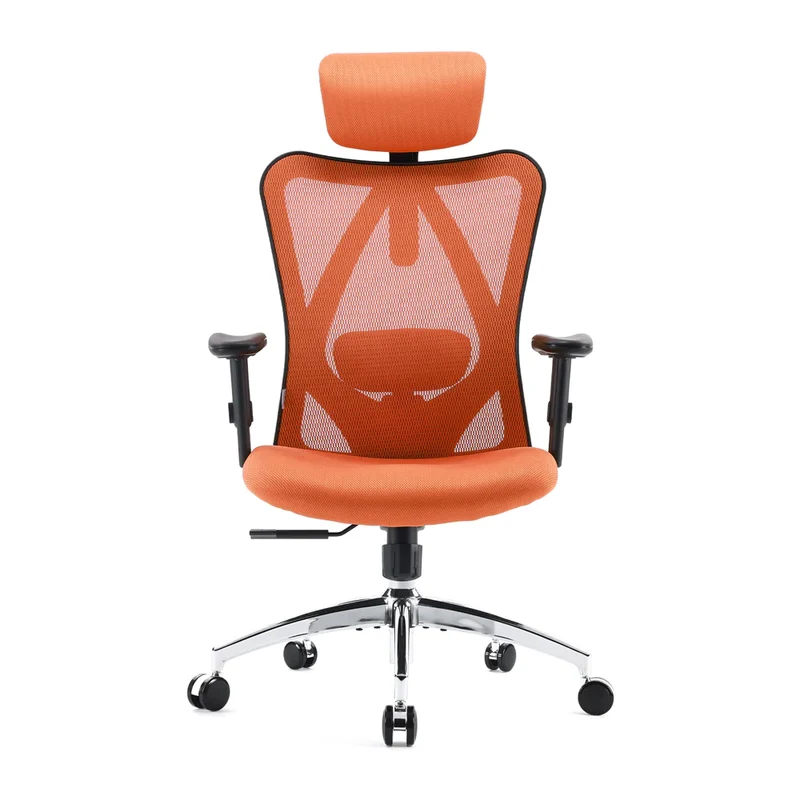 Sihoo M18 Classic Office Chair With Triple Spinal Relief