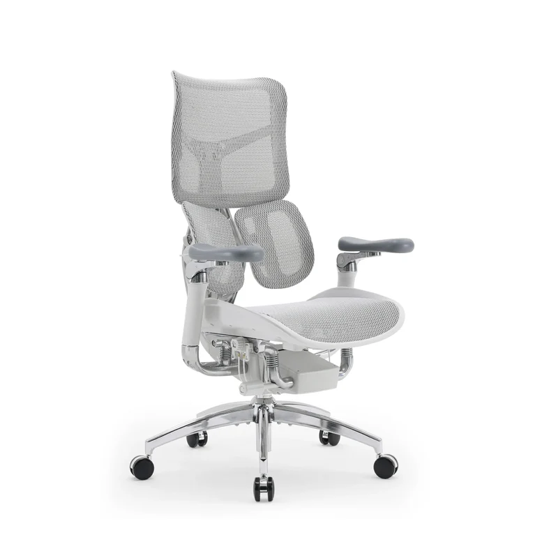 Sihoo Doro S300 "Gravity-Defying" Ergonomic Chair for Premium Comfort