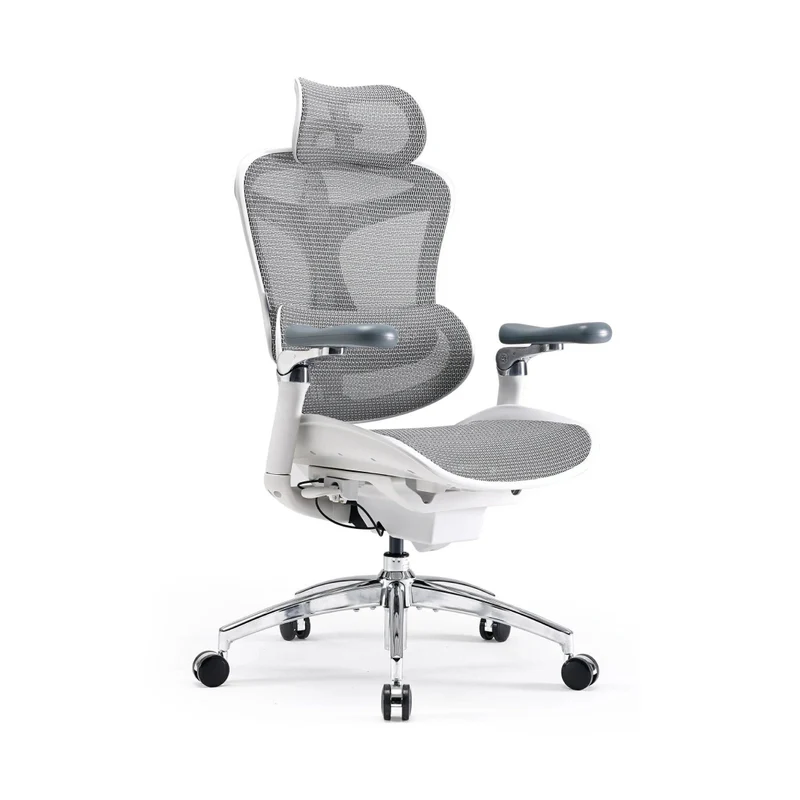 Sihoo C300 Pro Ergonomic Office Chair with Seat Depth for Long Sitting