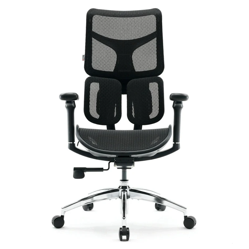Sihoo S100 Dynamic Ergonomic Office Chair with Lumbar Support
