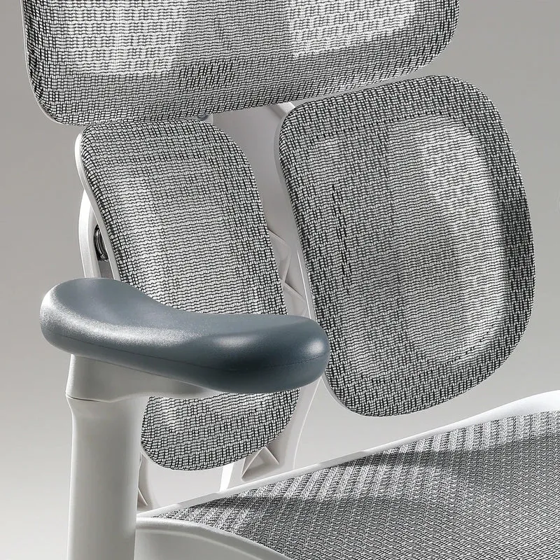 Sihoo S100 Dynamic Ergonomic Office Chair with Lumbar Support