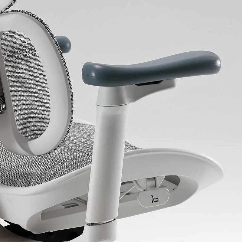 Sihoo S100 Dynamic Ergonomic Office Chair with Lumbar Support