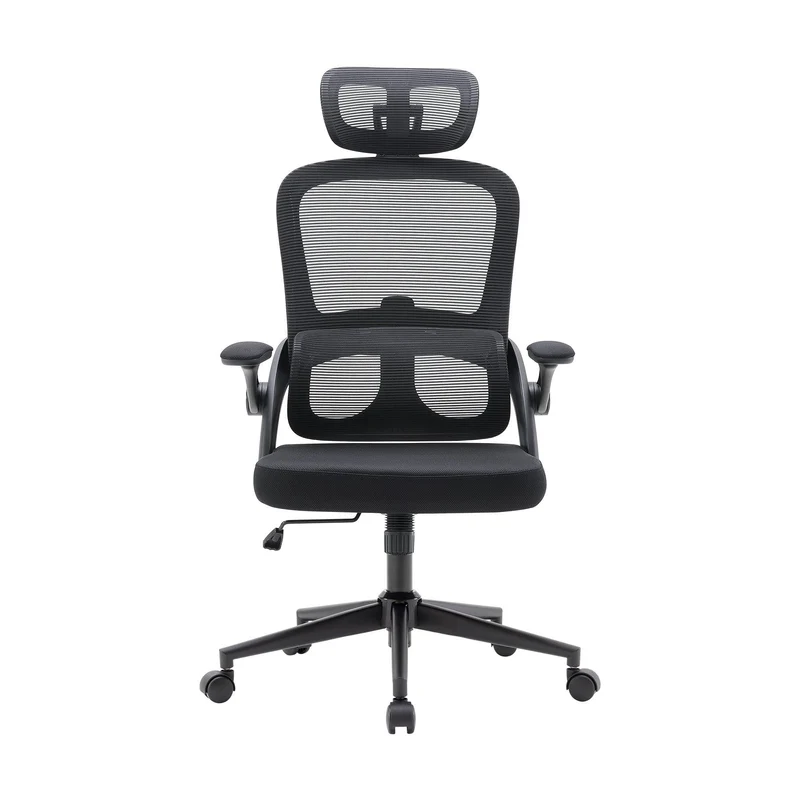 Sihoo M102C Lightweight Ergonomic Office Chair with Basic Support