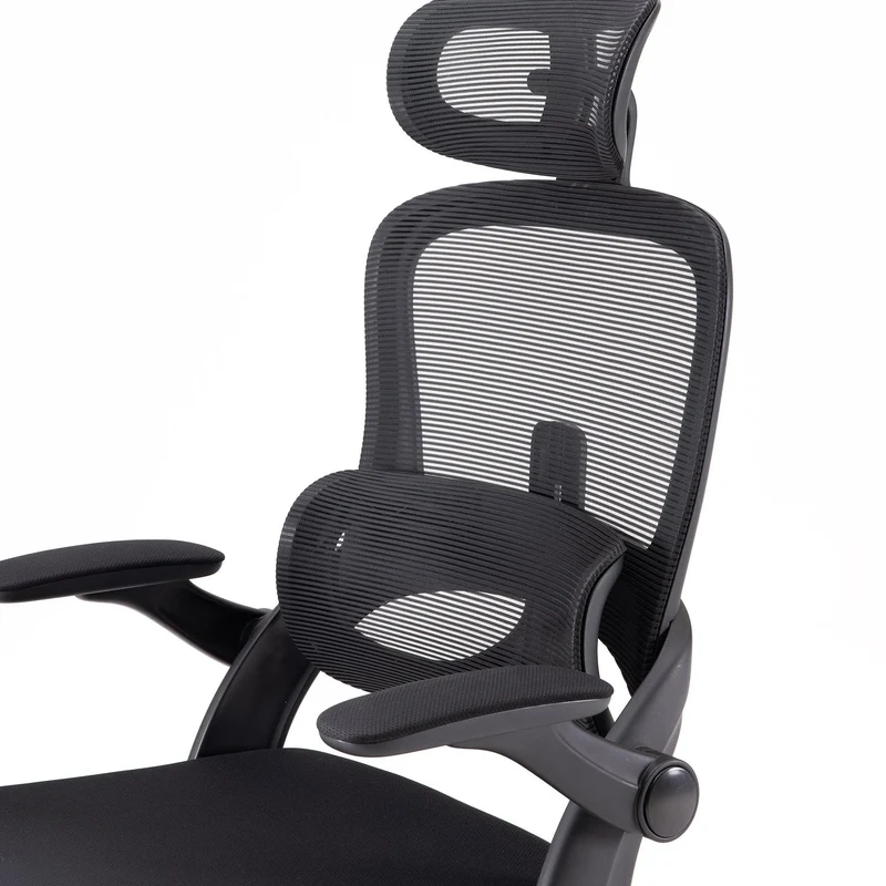 Sihoo M102C Lightweight Ergonomic Office Chair with Basic Support