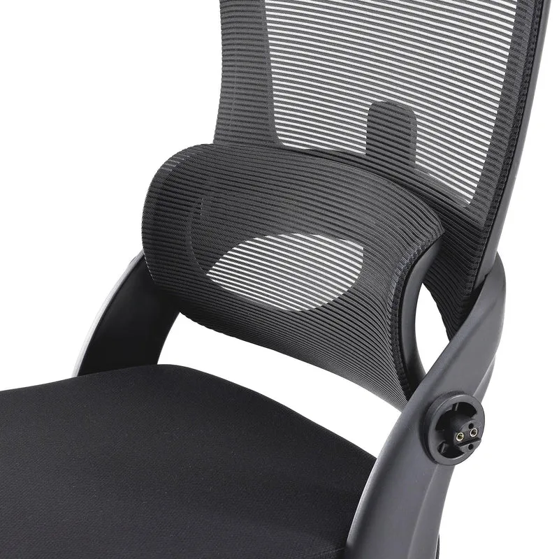 Sihoo M102C Lightweight Ergonomic Office Chair with Basic Support