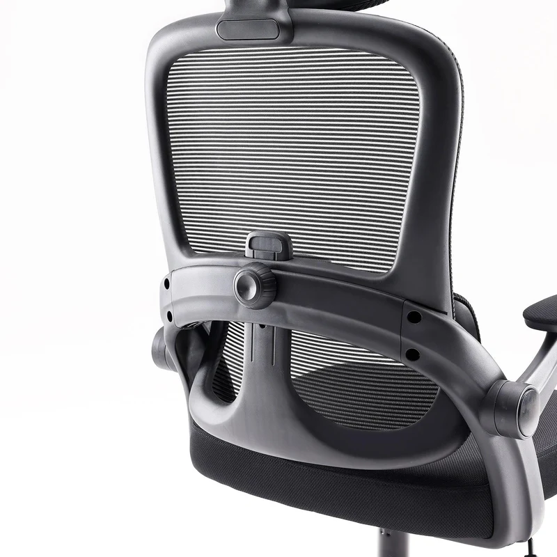 Sihoo M102C Lightweight Ergonomic Office Chair with Basic Support